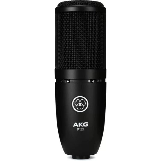 AKG P120 Large-diaphragm Condenser Microphone - Leitz Music