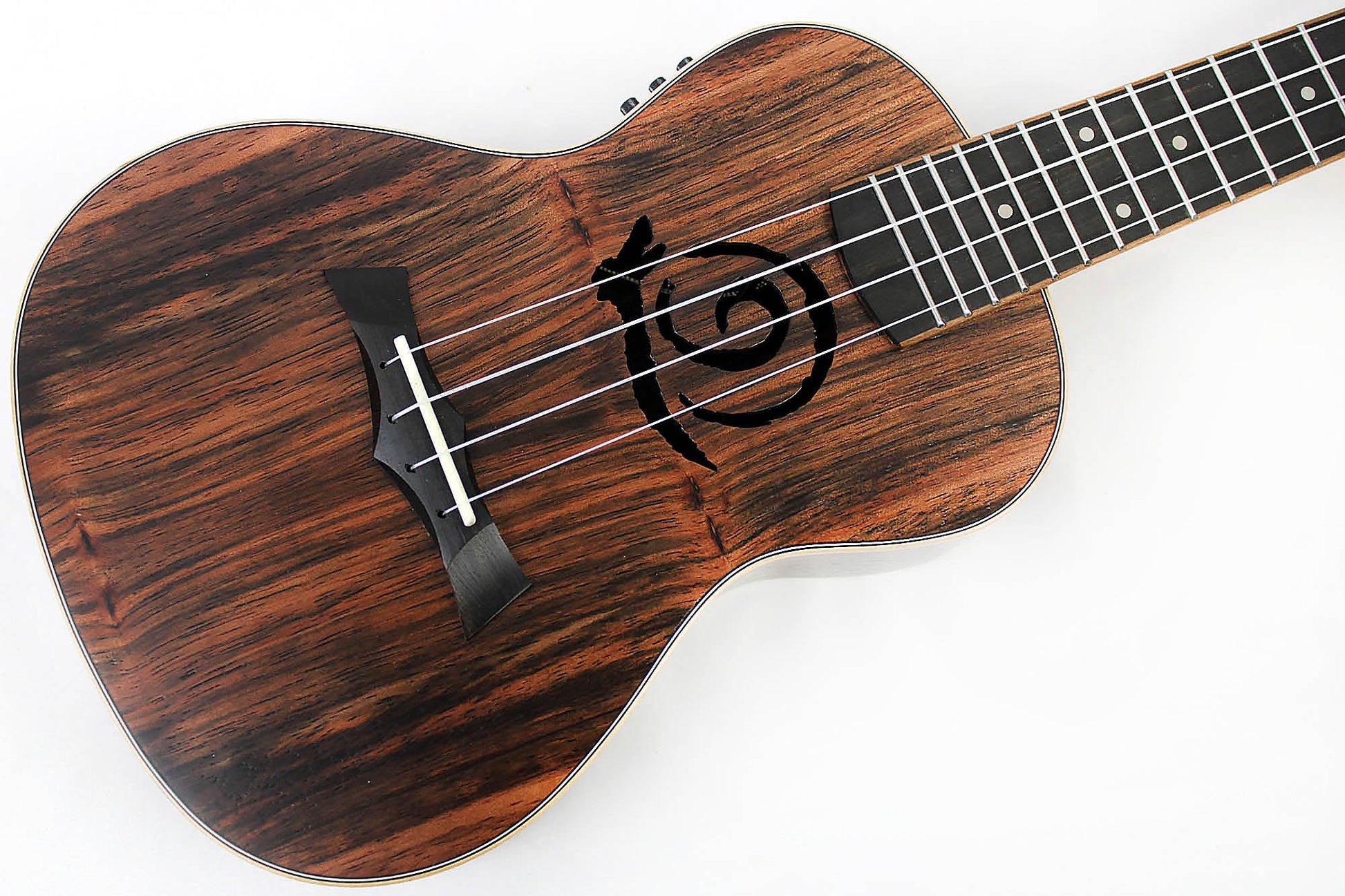 This is the front of the top and neck of a Snail SNAILEBUKEQ Ebony Ukulele Concert EQ.