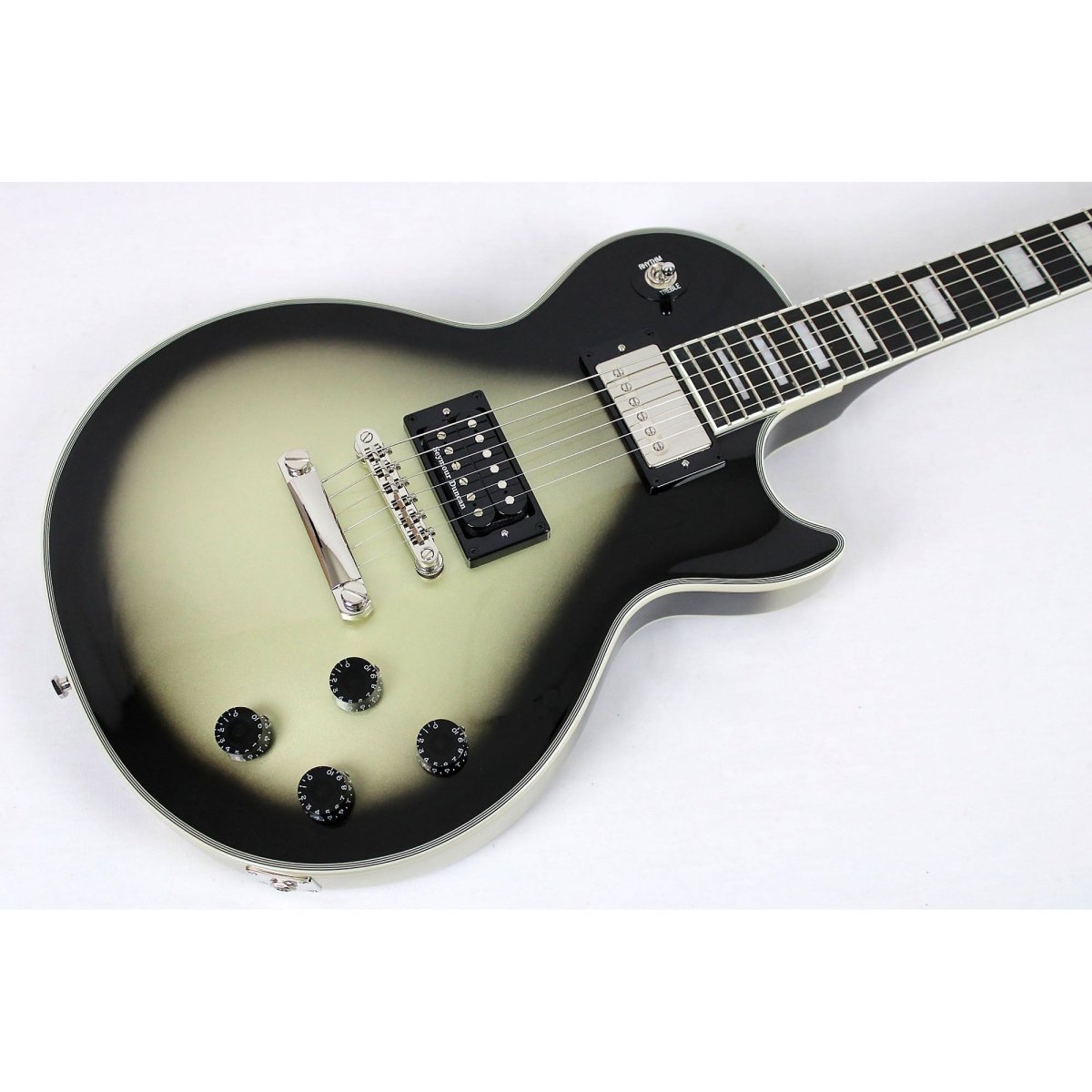 Epiphone Adam Jones Les Paul Custom Art Collection - Julie Heffernan's "Rose Skirt and Mouse," Antique Silverburst - Leitz Music--EILPCAJV2ASBNH3