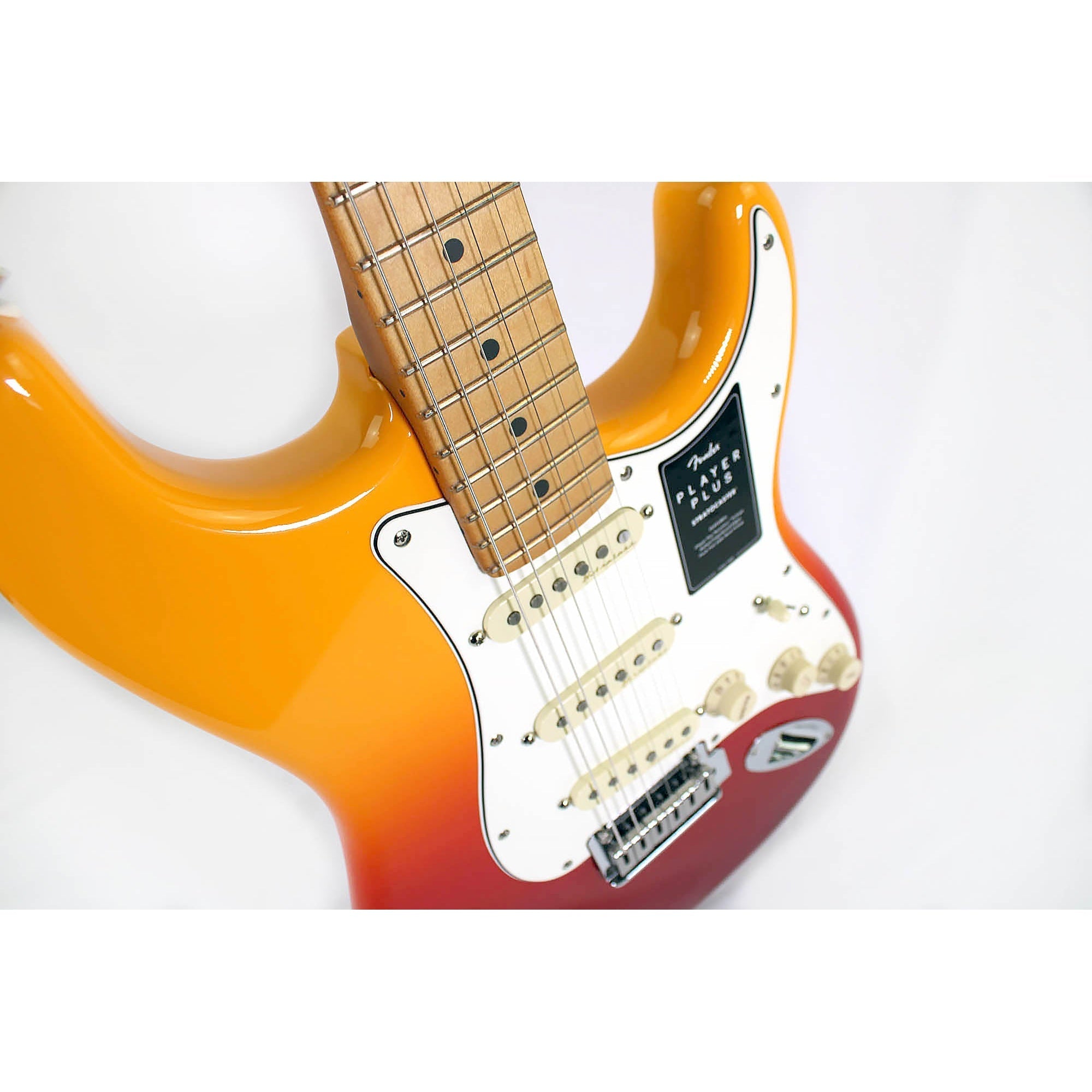 Fender エレキギター Player Plus Stratocaster(R)， Maple