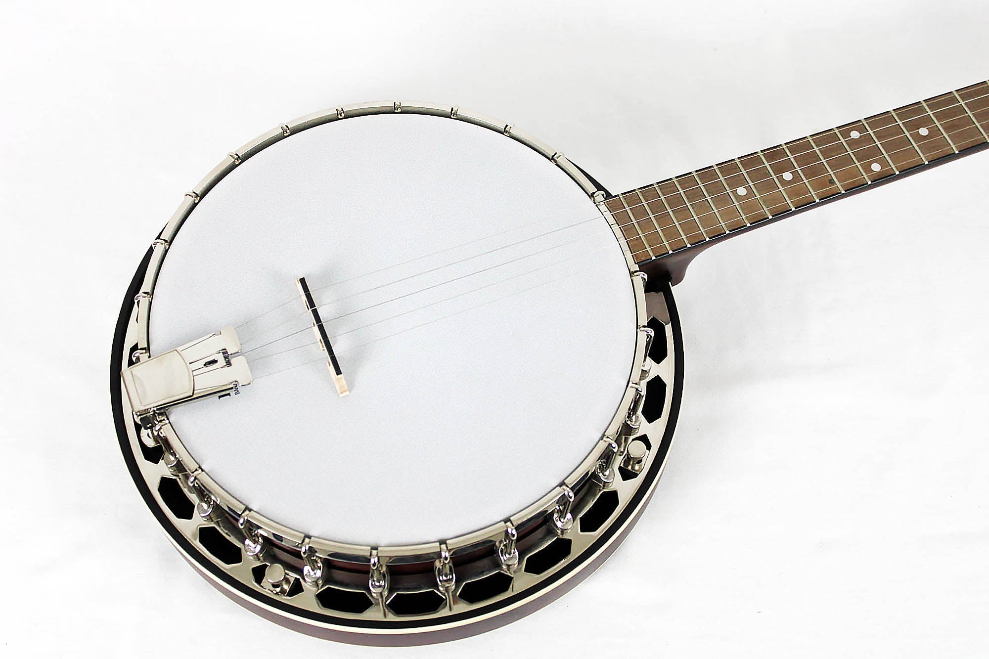 Recording king online banjos